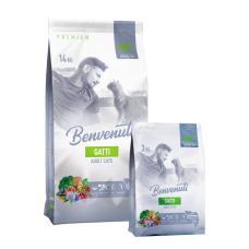 Benvenuti GATTI сухой корм для кошек с лососем