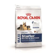 Royal Canin Maxi Starter для щенков до 2 мес