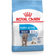 Royal Canin Maxi Junior Active для щенков крупных пород до 15 мес