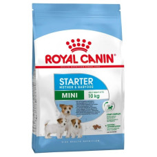 Корм Royal Canin Mini Starter для щенков мелких пород