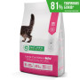 Nature's Protection Large cat Kitten сухой корм для котят крупных пород с мясом птицы